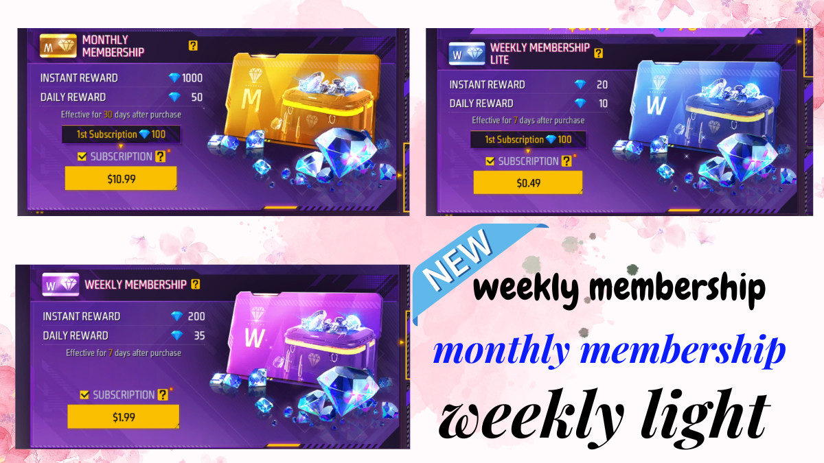 monthly membership weekly membership weekly light membership 3 in 1 combo offer